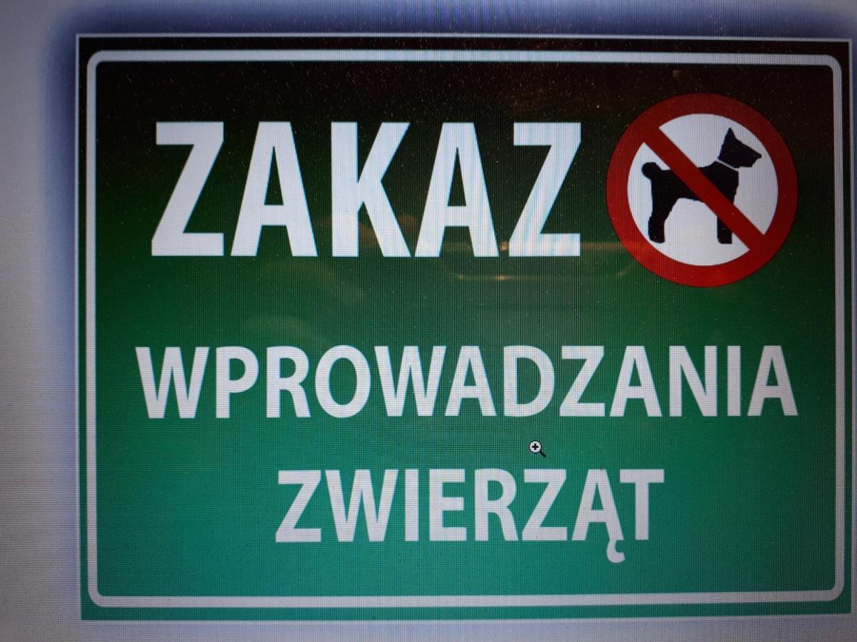 Ferienwohnung Glogow Przy Chopina Exterior foto